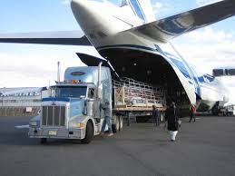 AVION CARGO + CAMION CONTAINER